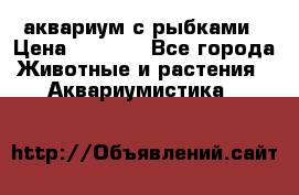 аквариум с рыбками › Цена ­ 1 000 - Все города Животные и растения » Аквариумистика   